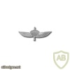 Tactical parachute wings img40935