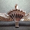 Tactical parachute wings img40937