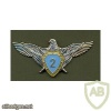 Ukrainian Air Force pilot 2nd class qualification badge, after 2005