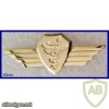 Wings of a doctor / airborne medic - Golden