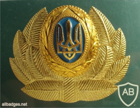 Ukrainian Air Force cap badge, senior officers, after 1995 img41005