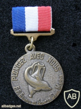 FFESSM (Federation Francaise D Etudes et de Sports Sous-Marine) award badge img41079