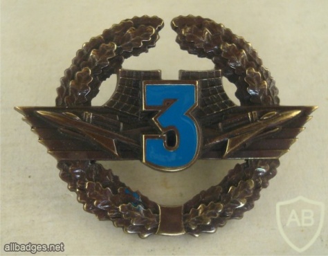 Ukrainian Air Defence Forces contract servise qualification badge, 3rd grade img41144