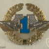 Ukrainian Air Defence Forces contract servise qualification badge, 1st grade img41142