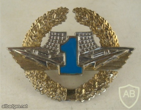 Ukrainian Air Defence Forces contract servise qualification badge, 1st grade img41142