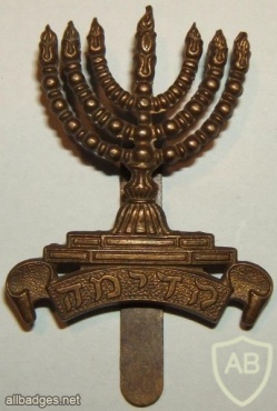 First Judeans Cap Badge img41205