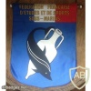 FFESSM (Federation Francaise D'Etudes et de Sports Sous-Marine) pennant img41191