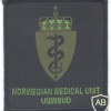 UNITED NATIONS Mission in Sudan (UNMISUD) - Norwegian Medical Unit sleeve patch, early, woodland