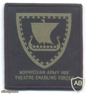 NORWAY - Norwegian Army High Readiness Force - Theater Enabling Forces sleeve patch, woodland img41260