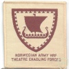 NORWAY - Norwegian Army High Readiness Force - Theater Enabling Forces sleeve patch, desert