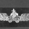 סמל מלווי השיירות לירושלים בתקופת המצור img41309