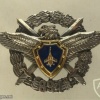 Ukrainian Air Force unit 894 memorable badge