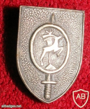9th Oded Brigade img41306
