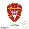 Siberian Command Spetznaz / OMON / SOBR units patch img41386