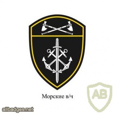 Volga Command Naval units img41363