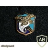 US Navy SEAL memorable badge