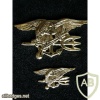 US Navy SEAL small badge img41420