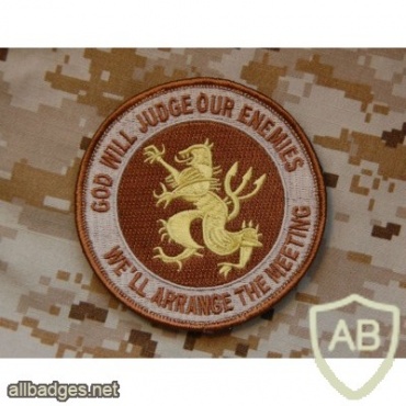US Navy DEVGRU memorable badge img41424