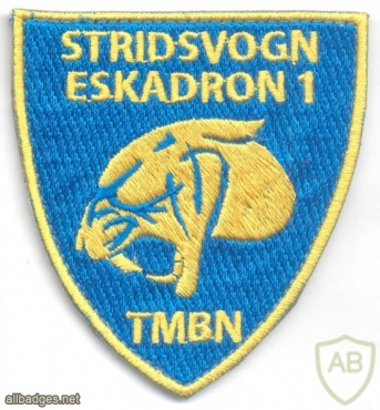 NORWAY - Norwegian Army Tank Squadron 1, Telemark Battalion sleeve patch, 2010-present img41462