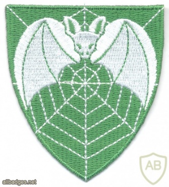 NORWAY - Norwegian Army Intelligence Battalion sleeve patch, full color, 2003-2008 img41460