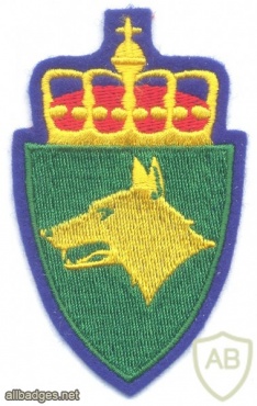 NORWAY - Norwegian Army Military Dog Training School sleeve patch, full color on blue img41470