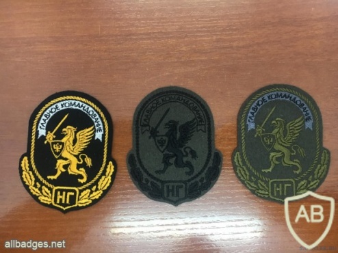 National Guard Main Directorat patch img41553