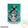 Indian Army Armoured Corps cap badge