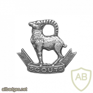 Indian Army Ladakh Scouts cap badge img41584