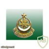 Pakistan Army Azad Kashmir Regiment cap badge