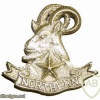 Pakistan Army Northern Light Infantry Regiment cap badge img41595