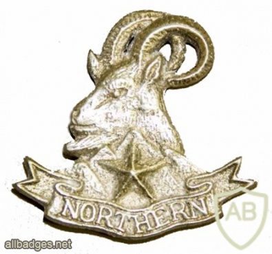 Pakistan Army Northern Light Infantry Regiment cap badge img41595