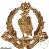 Pakistan Army Bahawalpur Regiment cap badge
