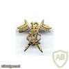 Pakistan Army 12th Cavalry (Frontier Force) armored regiment cap badge img41599