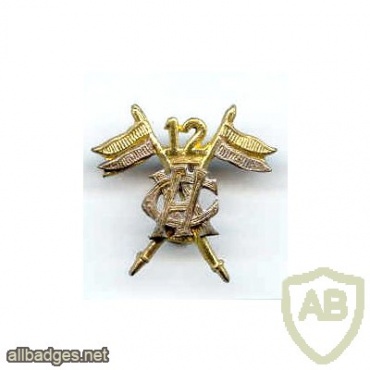Pakistan Army 12th Cavalry (Frontier Force) armored regiment cap badge img41599