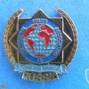 IPA Russia 2 different pins img41632