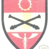 AUSTRIA Army (Bundesheer) - Army Supply School sleeve patch, printed