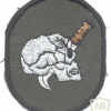 CHILE Special Forces Commandos patch sleeve patch img41651
