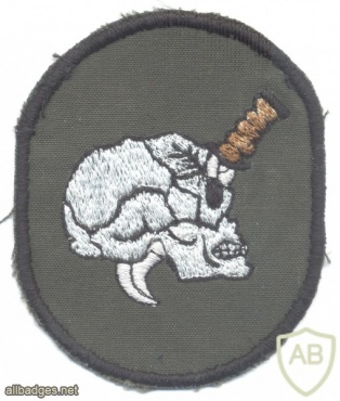 CHILE 2 Commando Company sleeve patch, 1970s img41651
