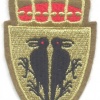 NORWAY - Norwegian Army Military Intelligence and Security School, full color on olive green img41671