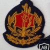 דרגת רב סמל בכיר (רס"ב) ישנה - חיל הים, גרסה 2 img41696