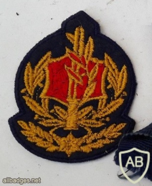 דרגת רב סמל בכיר (רס"ב) ישנה - חיל הים, גרסה 2 img41696