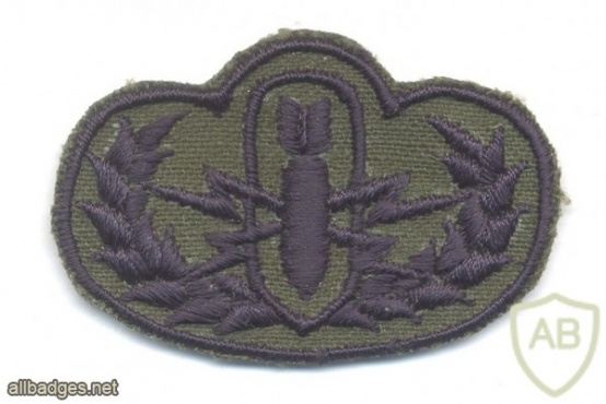 THAILAND Royal Thai Army EOD Explosive Ordnance Disposal badge, Basic, cloth img41739
