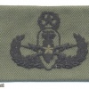 Explosive Ordnance Disposal Master Badge, cloth, green img41730