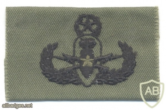 Explosive Ordnance Disposal Master Badge, cloth, green img41730