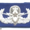 US Air Force Explosive Ordnance Disposal Senior Badge, cloth img41733