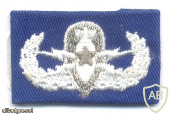 US Air Force Explosive Ordnance Disposal Senior Badge, cloth img41733
