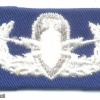 US air Force Explosive Ordnance Disposal Master Badge, cloth img41732