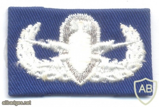US Air Force Explosive Ordnance Disposal Basic Badge, cloth img41732