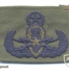 Explosive Ordnance Disposal Master Badge, cloth, blue on green