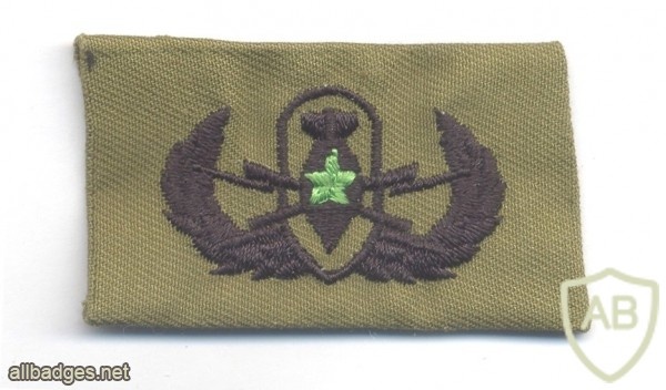 Explosive Ordnance Disposal Senior Badge, cloth, olive green img41728